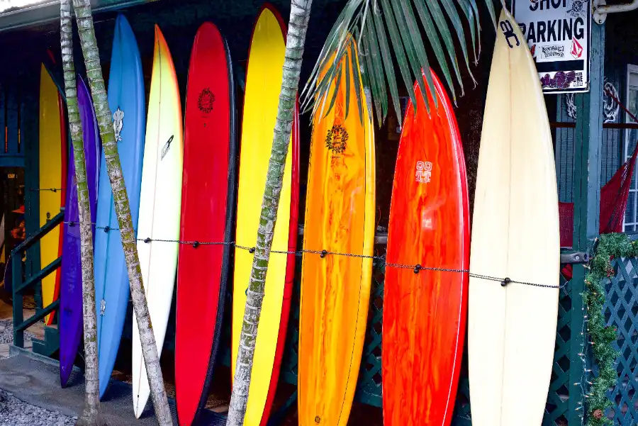 pasos para aprender a surfear: elegir tabla