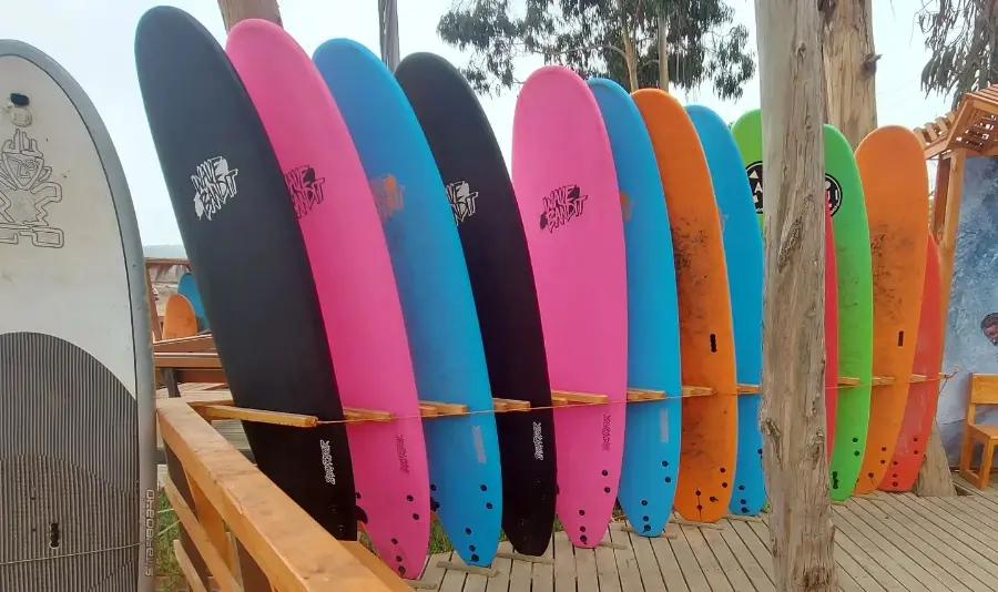Variedades de Tablas de Surf en Chile 