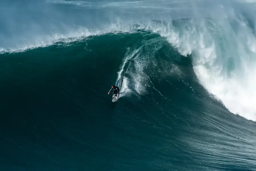 Surfista experto
