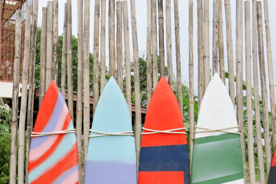 Opciones de tablas de surf